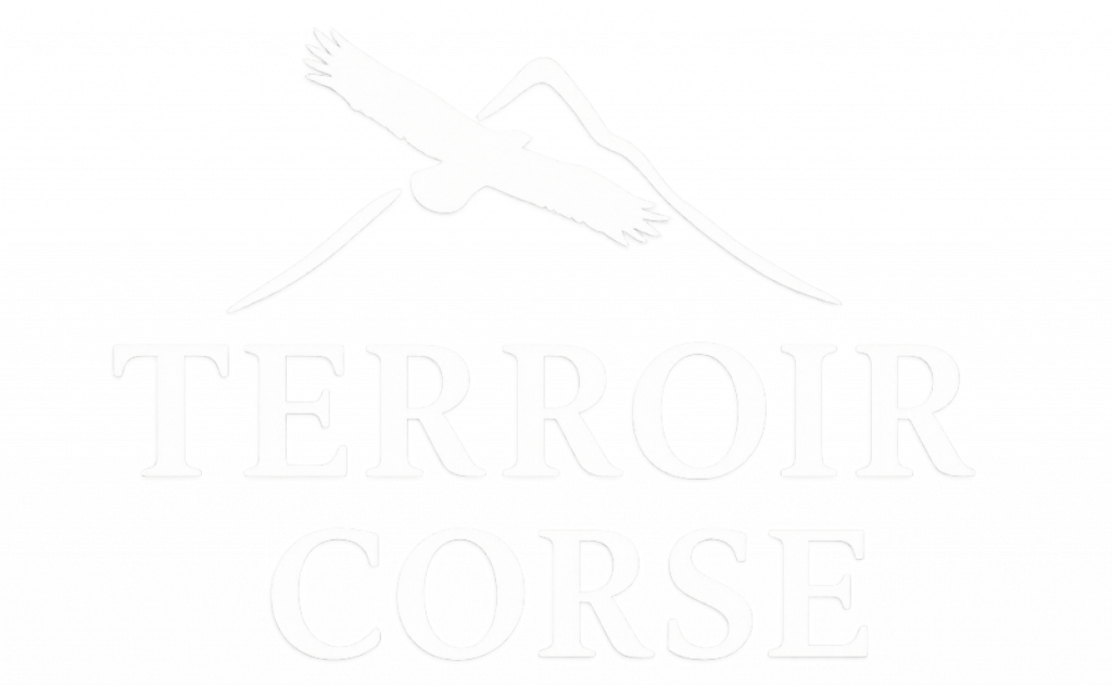 logo-terroir-corse-produits-artisanaux-milan-blanc-detoure-redimensionne