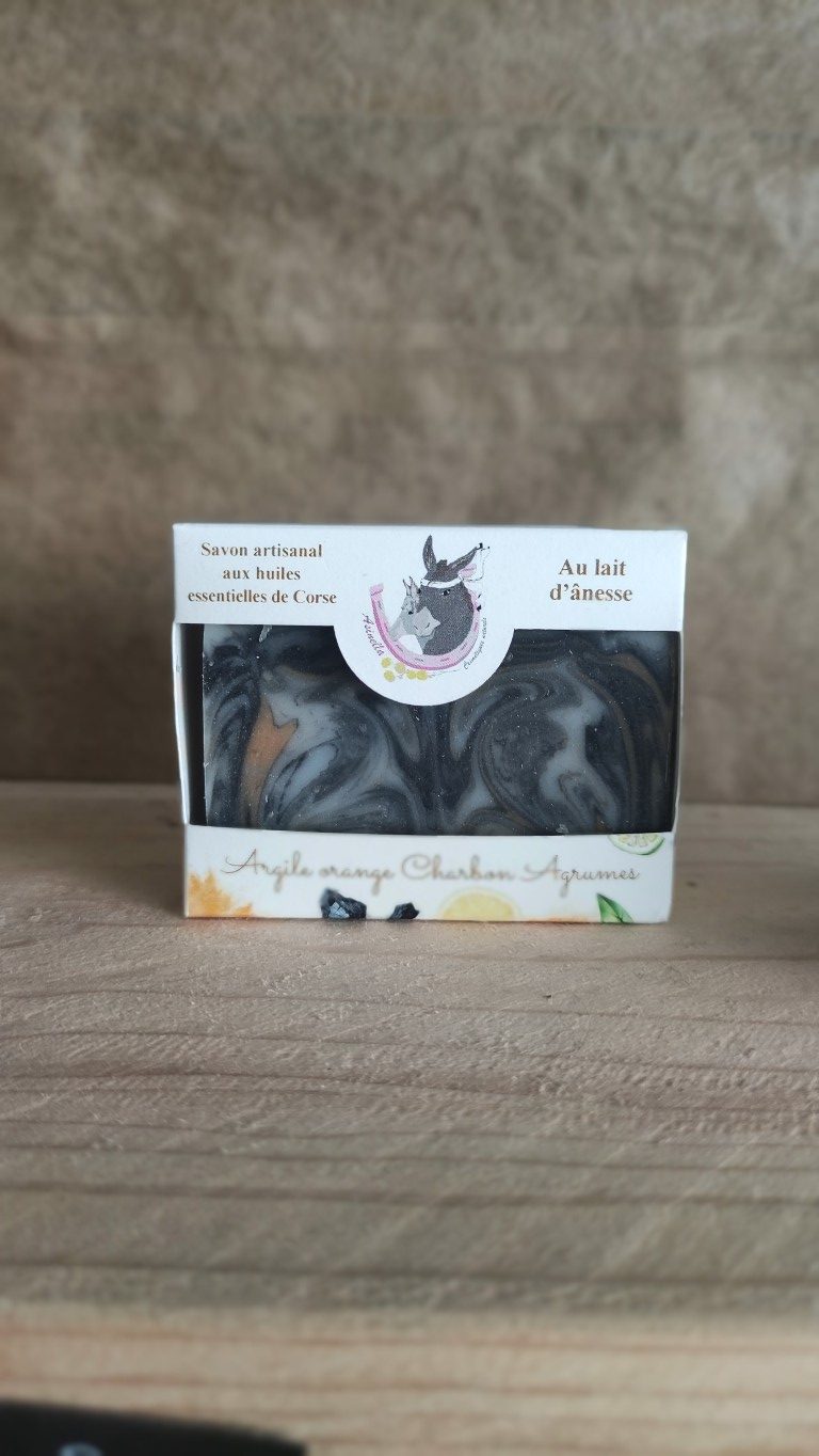 Savon au lait d'ânesse argile orange charbon agrumes