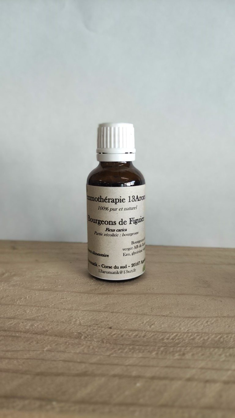 Bourgeon de figuier